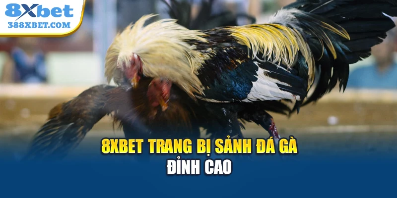 8xbet trang bị sảnh đá gà đỉnh cao