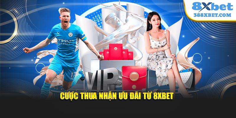 Cược thua nhận ưu đãi từ 8XBET