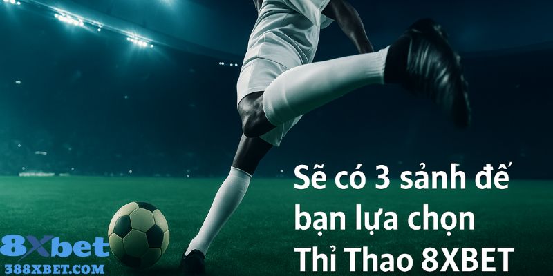 Sẽ có 3 sảnh để bạn lựa chọn khi tới Thể Thao 8XBET